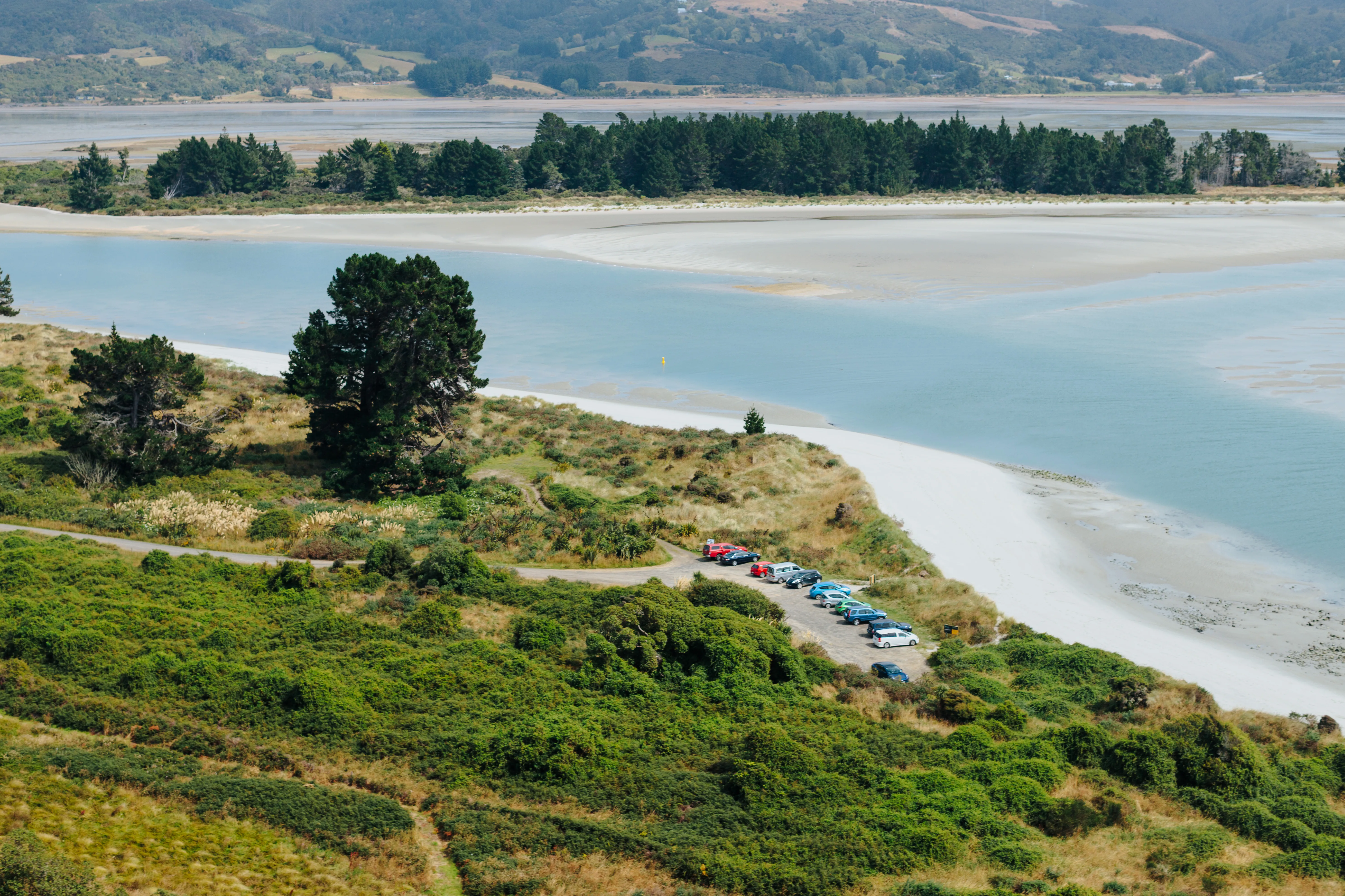 Dunedin Coastal Scenic Train Tour - 105 Minutes | Experience Oz + NZ-6