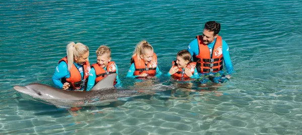 Sea World Dolphin Deep Water Adventure 