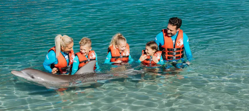 Sea World Dolphin Deep Water Adventure - Book Now | Experience Oz