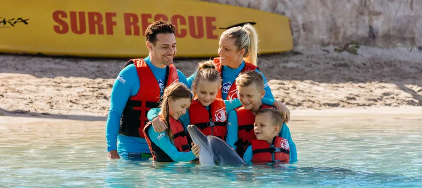 Sea World Dolphin Deep Water Adventure - Book Now | Experience Oz