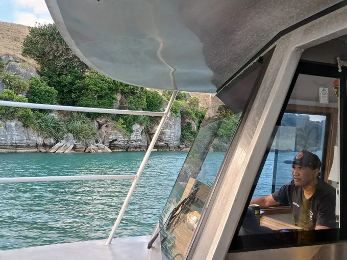Raglan Scenic Nature Boat Cruise - 90 Minutes | Experience Oz + NZ