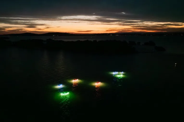 Night Kayak Seafood Dinner, 3 Hours - Lake Macquarie - For 2
