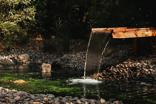 Rotorua Private Sauna and Cold Plunge Session - 40 Minutes