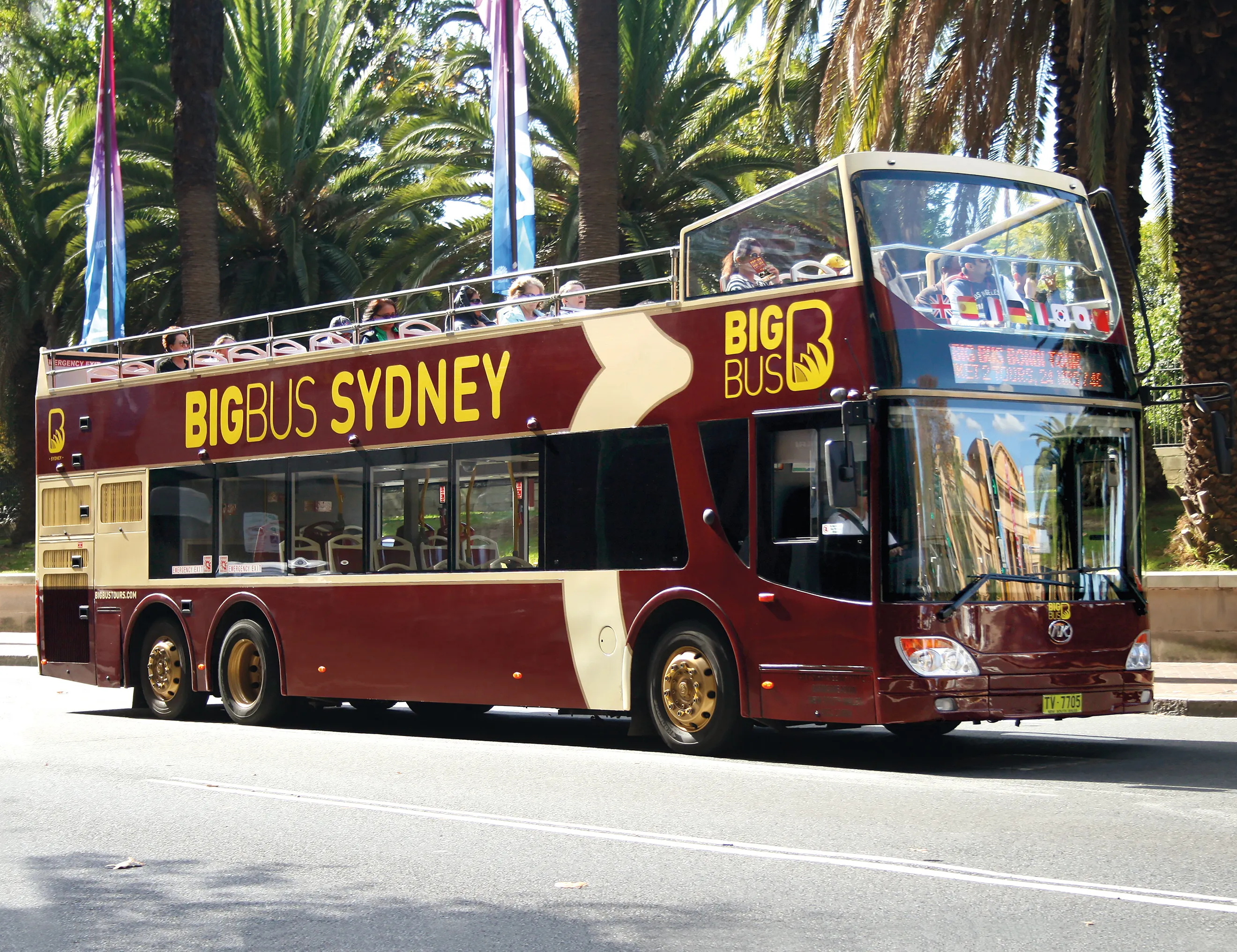 Sydney, Hop-On Hop-Off Big Bus Ticket 48 Hour | Experience Oz-6