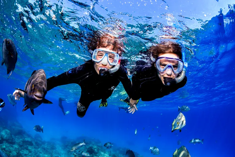 Great Barrier Reef Snorkel Tour - Half Day | Experience Oz