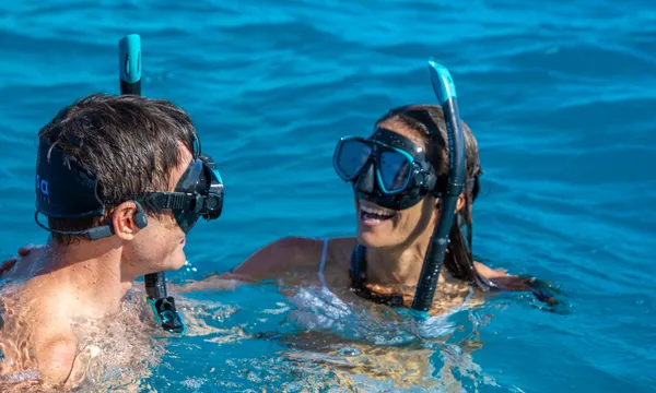 Great Barrier Reef Snorkel Tour with Morning Tea - Half Day