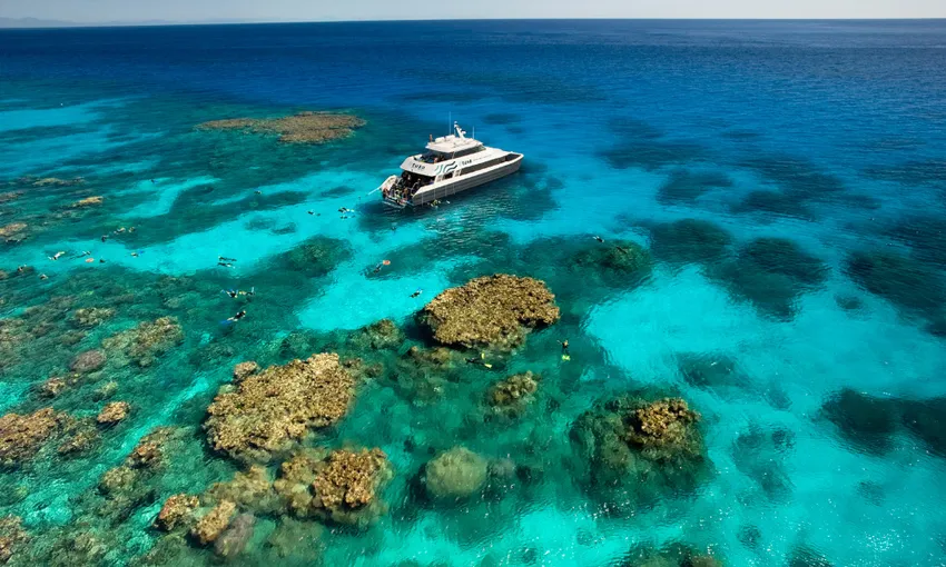 Great Barrier Reef Snorkel Tour - Half Day | Experience Oz