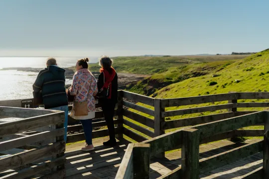Phillip Island Penguin Sunset Tour with Melbourne Transfers