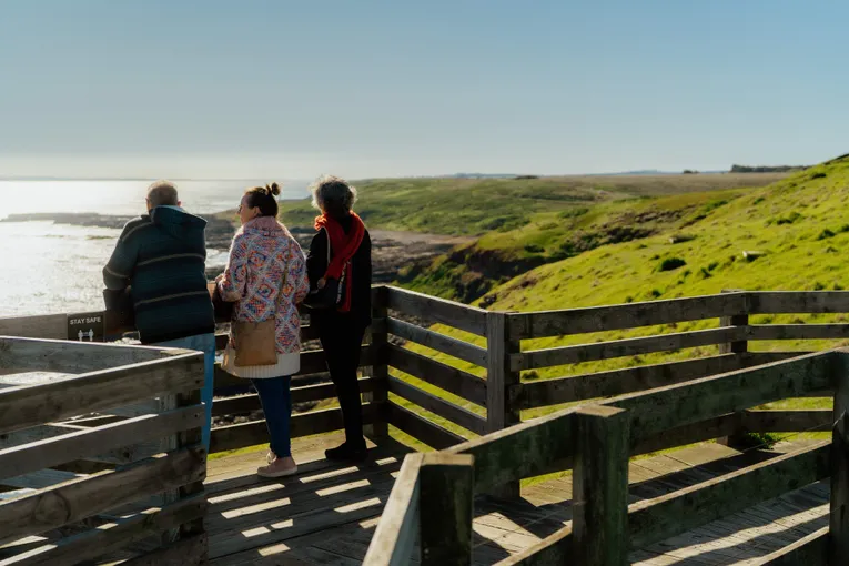 Phillip Island Penguin Tour, Melbourne Transfers | Experience Oz