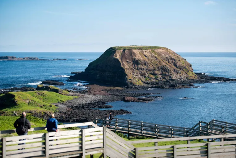 Phillip Island Penguin Tour, Melbourne Transfers | Experience Oz