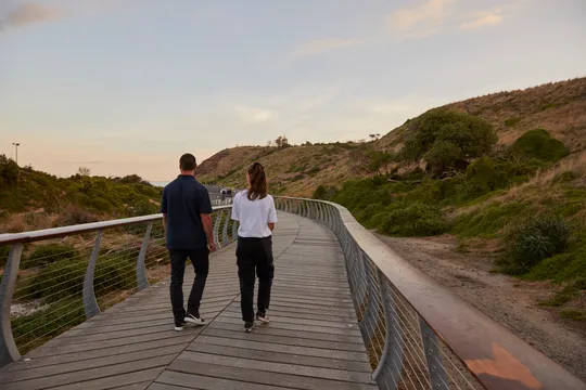 Phillip Island Penguin Sunset Tour with Melbourne Transfers