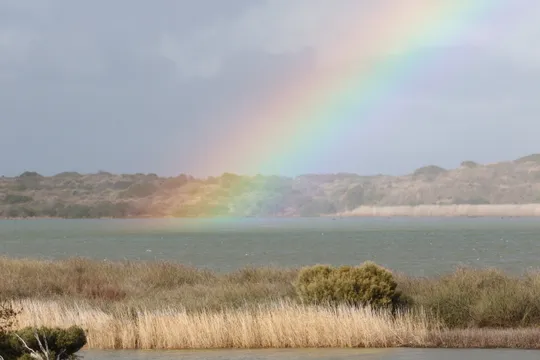 Coorong Guided Kayak Tour with Picnic Lunch - 4 Hours