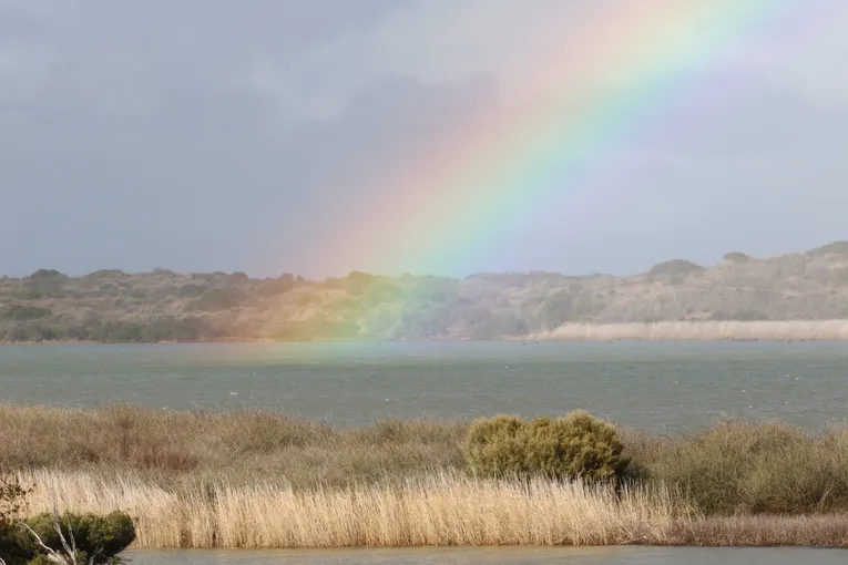 Coorong Guided Kayak Tour with Lunch - 4 Hours | Experience Oz
