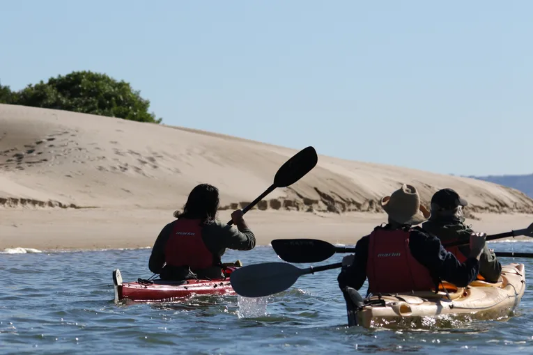 Coorong Guided Kayak Tour with Lunch - 4 Hours | Experience Oz