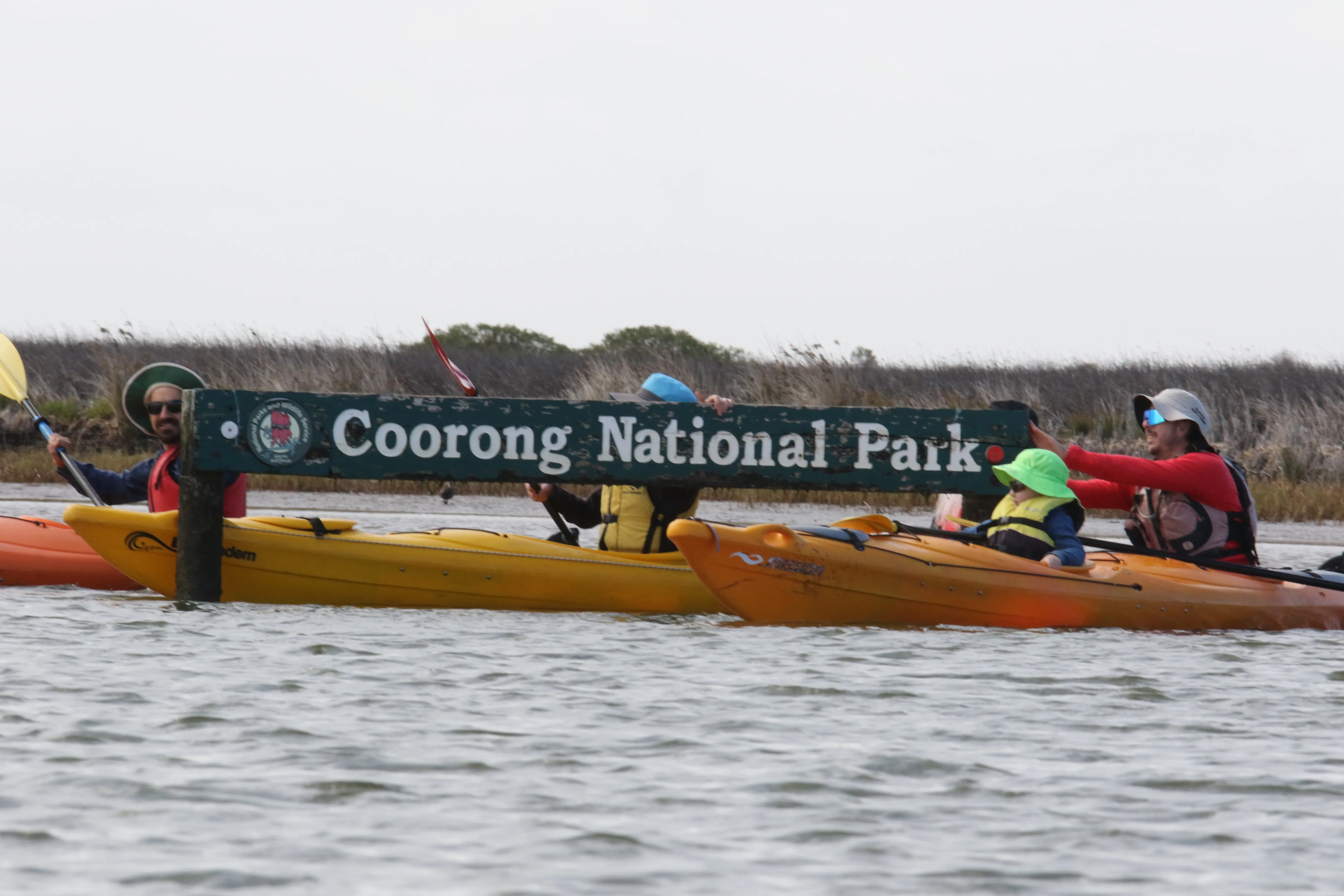 Coorong Guided Kayak Tour with Lunch - 4 Hours | Experience Oz-1