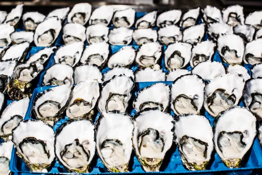 Sydney Fish Market Tasting Tour with Drink - 90 Minutes