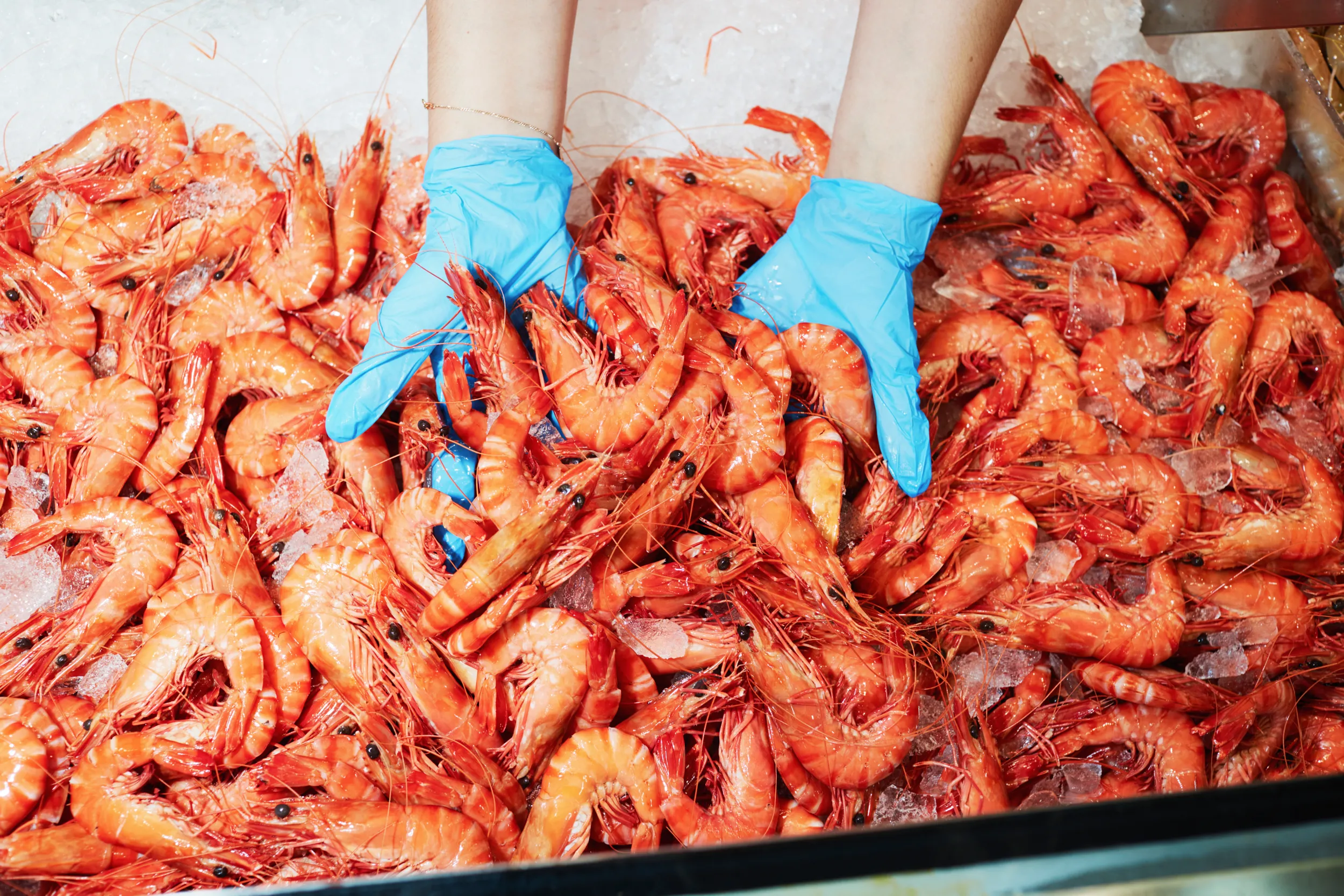 Sydney Fish Market Taste Tour & Drink - 90 Minutes | Experience Oz-4