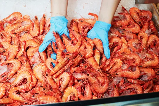 Sydney Fish Market Tasting Tour with Drink - 90 Minutes