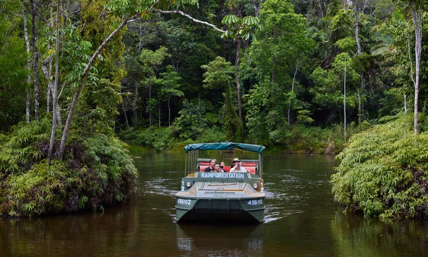 Kuranda Railway, Wildlife & Culture Tour - Cairns | Experience Oz