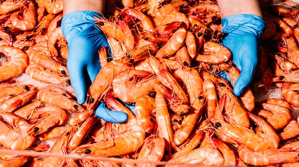 Sydney Fish Market Seafood Cooking Demonstration & Tasting