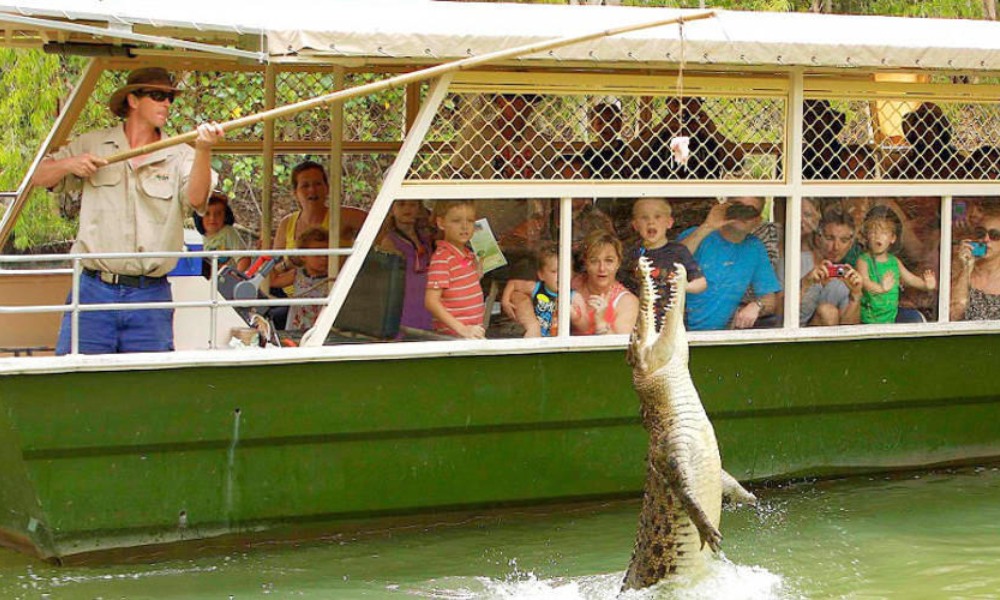 Hartley's Crocodile Adventures, Half Day - Port Douglas