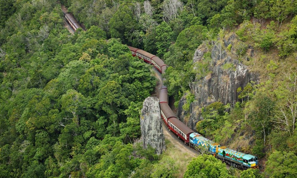 Kuranda Scenic Rail, Skyrail and Crocodile Tour - Full Day