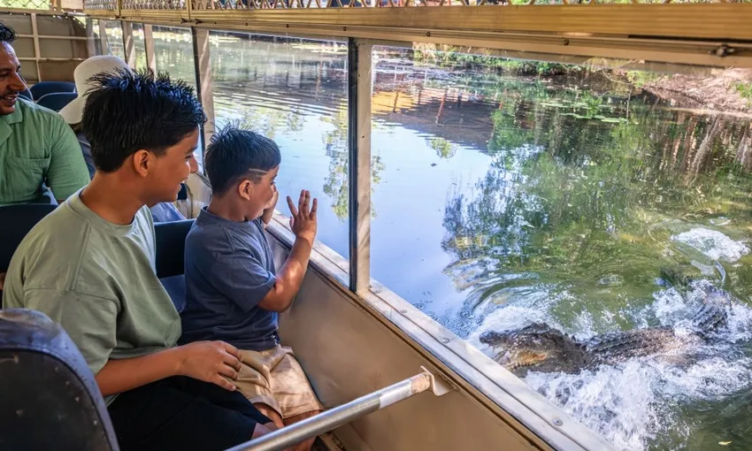 Kuranda Scenic Rail, Skyrail and Crocodile Tour - Full Day