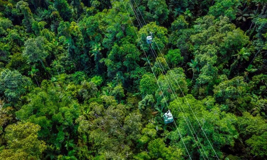 Kuranda Skyrail & Railway, Full Day Tour from Cairns