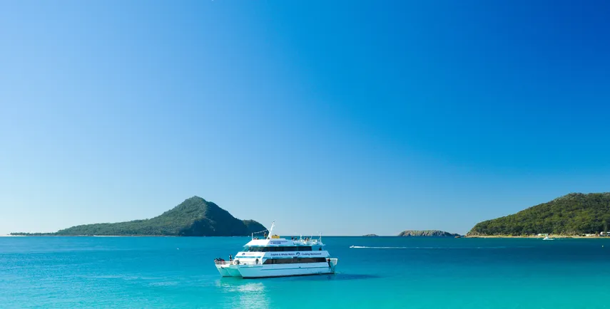 Port Stephens Dolphin Discovery Cruise | Experience Oz