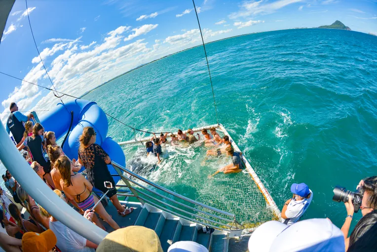 Port Stephens Dolphin Discovery Cruise | Experience Oz