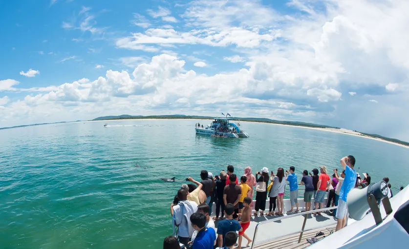 Port Stephens Dolphin Discovery Cruise | Experience Oz