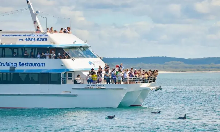 Port Stephens Dolphin Discovery Cruise | Experience Oz