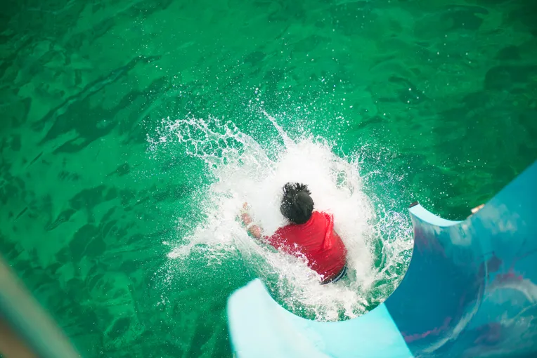 Port Stephens Splash and Slide Dolphin Cruise | Experience Oz