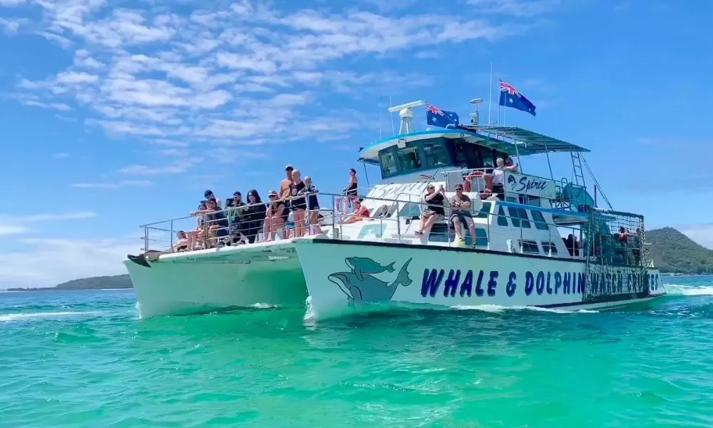 Port Stephens Splash and Slide Dolphin Cruise | Experience Oz-1