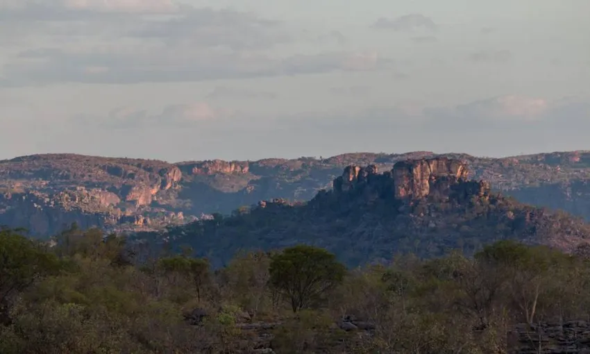 Jabiru Sunset Spectacular 60 Minute Scenic Tour - Book Now | Experience Oz
