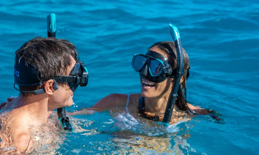 Snorkel Tour with Morning Tea, Half Day - Great Barrier Reef