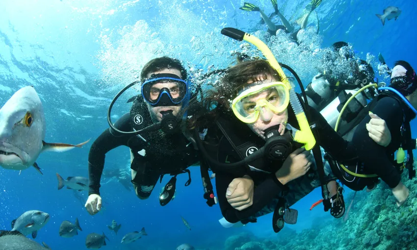 Snorkel Tour with Morning Tea, Half Day - Great Barrier Reef
