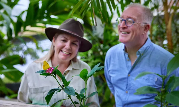 Kuranda Railway, Wildlife & Culture Day Tour from Palm Cove