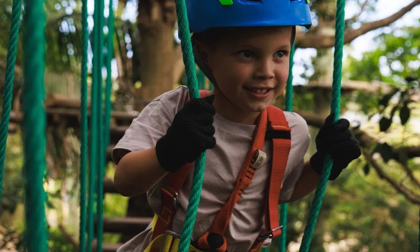 Kids Treetop Adventure, 2.5 Hours - Central Coast