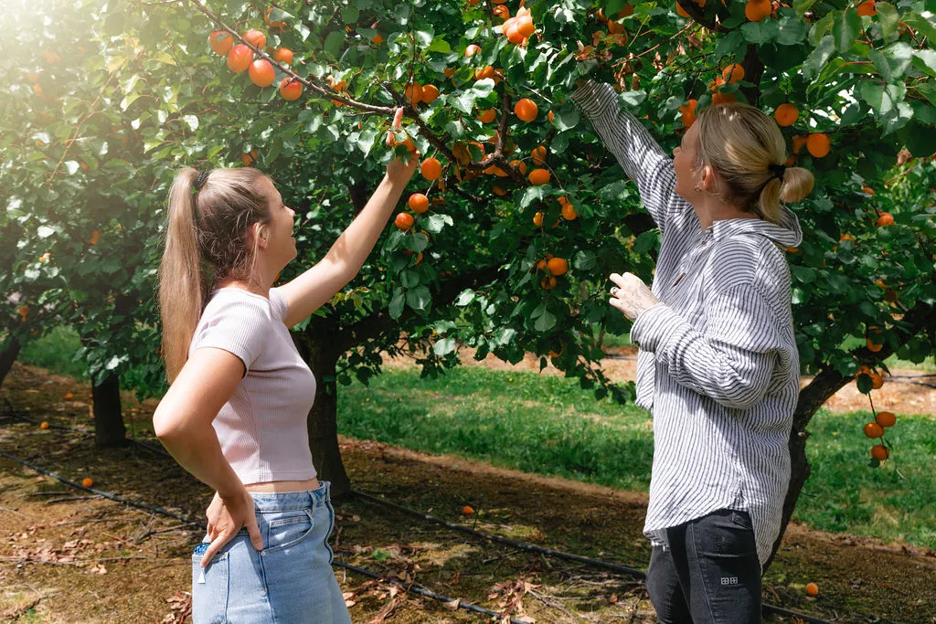 Yarra Valley Tractor Tour, Tastings & Fruit Box | Experience Oz-5