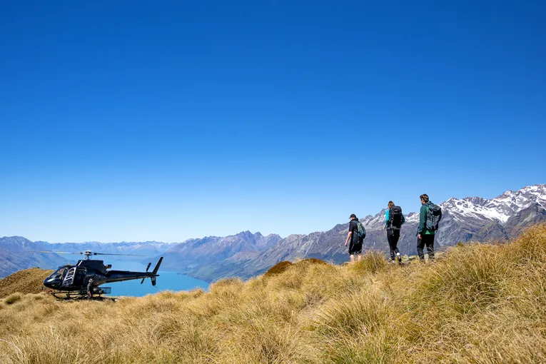 Mount Alfred Hike, Lunch & Helicopter Flight | Experience OZ + NZ