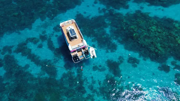 Great Barrier Reef Scenic Flight and Snorkel - Full Day 