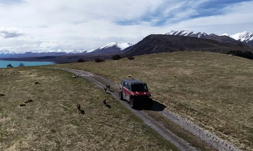Lake Tekapo High-Country Tour - 2 Hours | Experience Oz + NZ