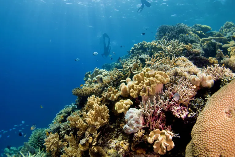 Scenic Flight & Snorkel, Full Day - Great Barrier Reef