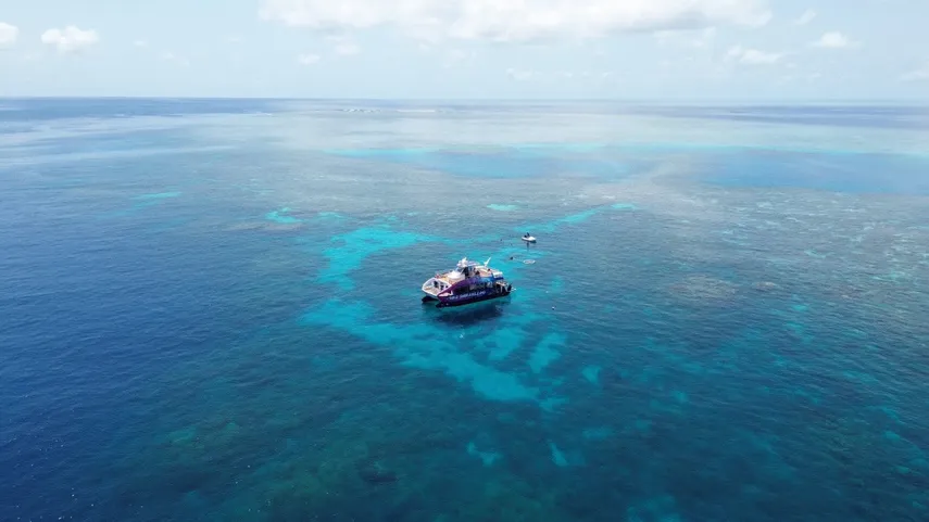 Scenic Flight & Snorkel, Full Day - Great Barrier Reef