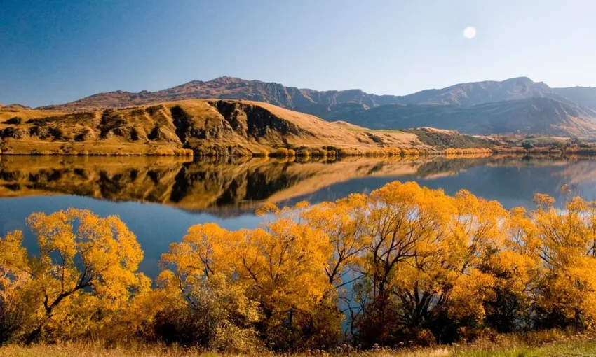 Arrowtown Winery Tours, Tastings & Transfers | Experience Oz + NZ