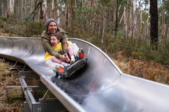 Alpine Slide Experience, 1 Hour - Corin Forest