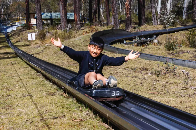 Alpine Slide Experience, 1 Hour - Corin Forest 
