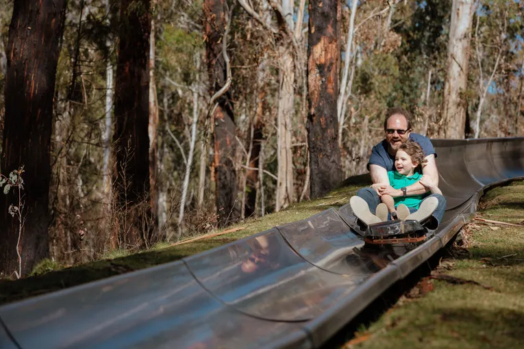 Corin Forest Scenic Alpine Slide - 1 Hour | Experience Oz