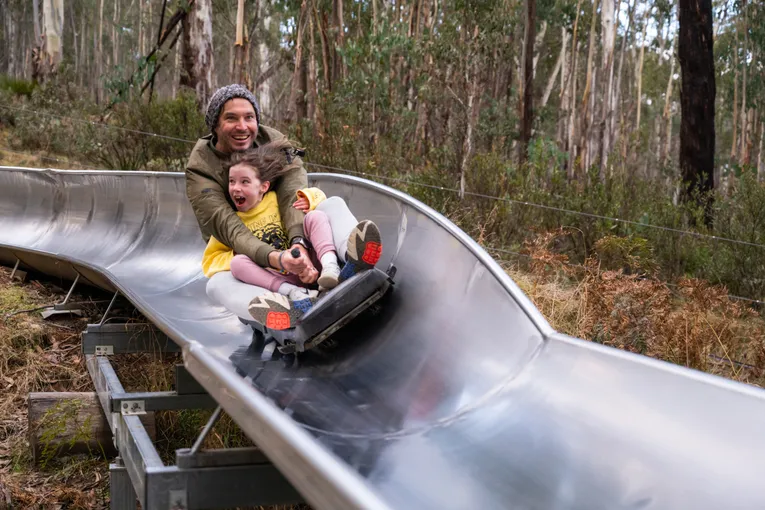 Corin Forest Scenic Alpine Slide - 1 Hour | Experience Oz